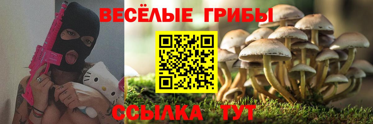 Псилоцибиновые грибы ЛСД Нальчик
